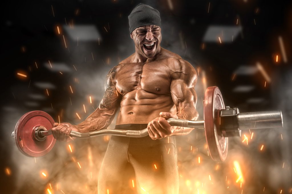 sarms for muscle building