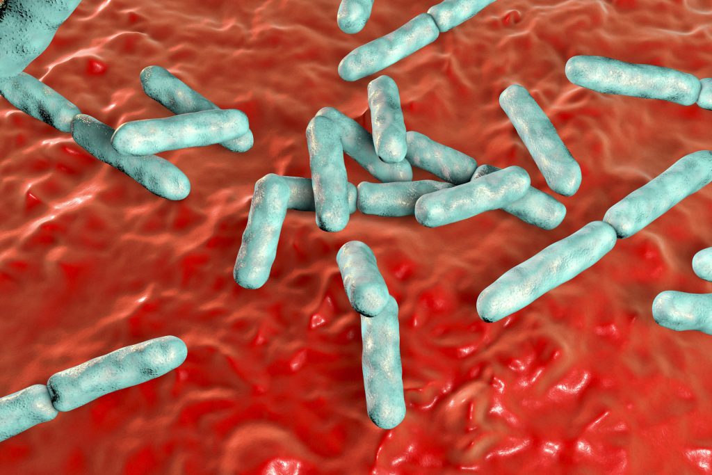 probiotics