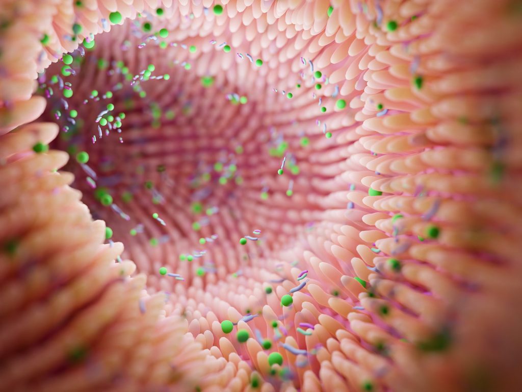 Bloated Again? What Your Gut’s Trying to Tell You—and How to Fix It Naturally