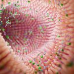 Microbiome intestine factories and microbiota. Gut health 3d render. Microvilli with factories in intestine . High quality 3d illustration